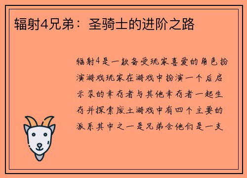 辐射4兄弟：圣骑士的进阶之路